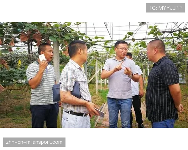 深度：解析CS2赛事与地方政府合作的共赢模式及经济效益